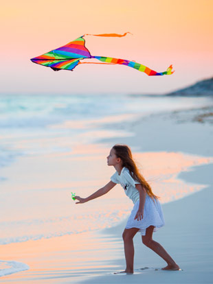 the kite